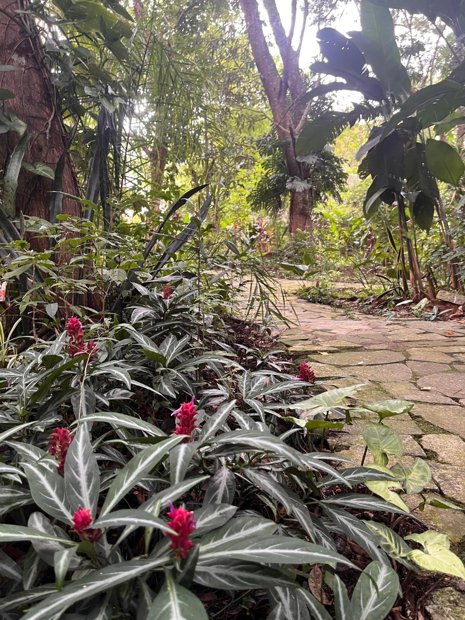 Hotel Curitiba Campo Comprido エクステリア 写真