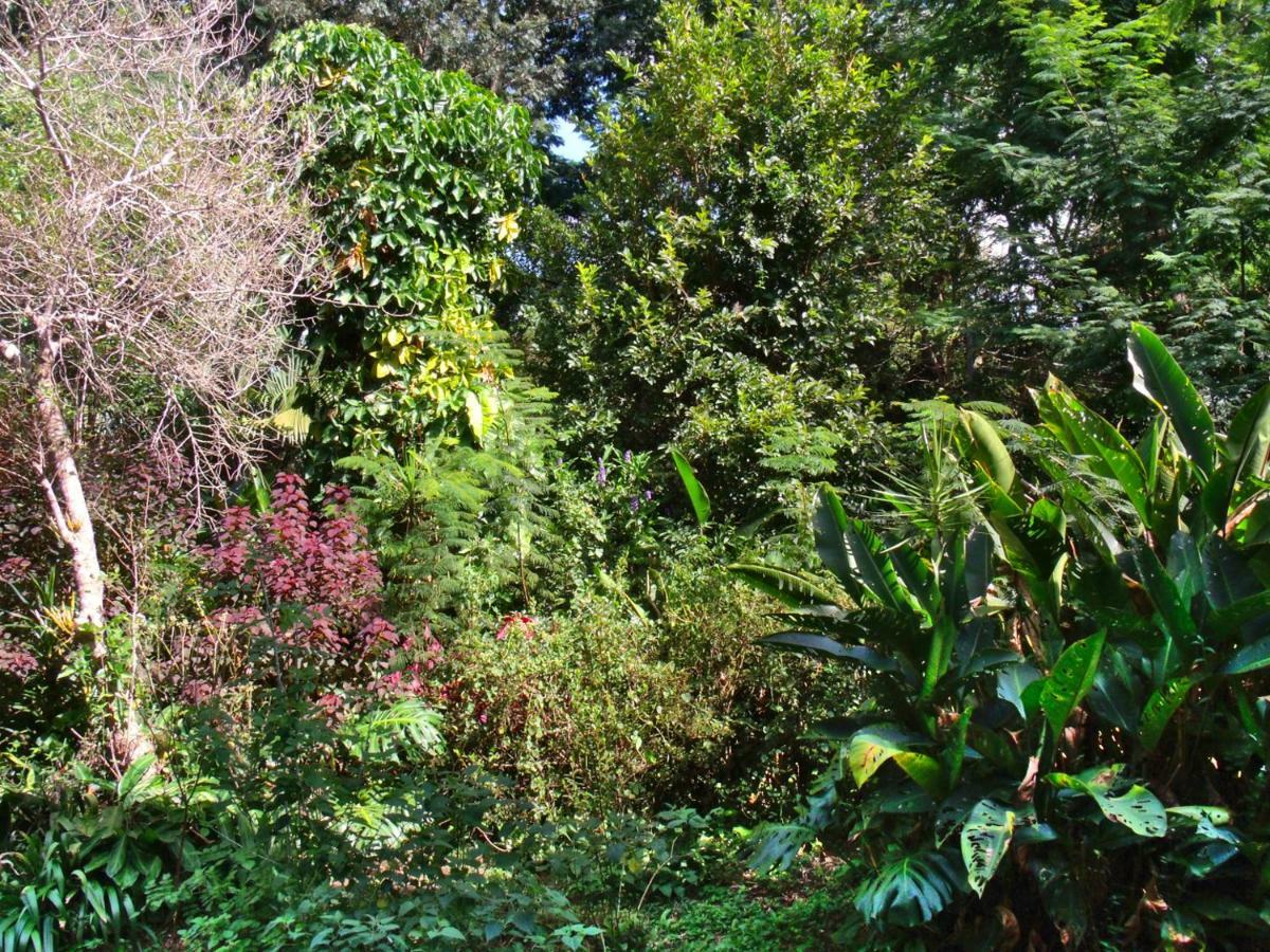 Hotel Curitiba Campo Comprido エクステリア 写真