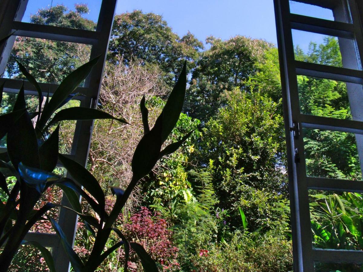 Hotel Curitiba Campo Comprido エクステリア 写真