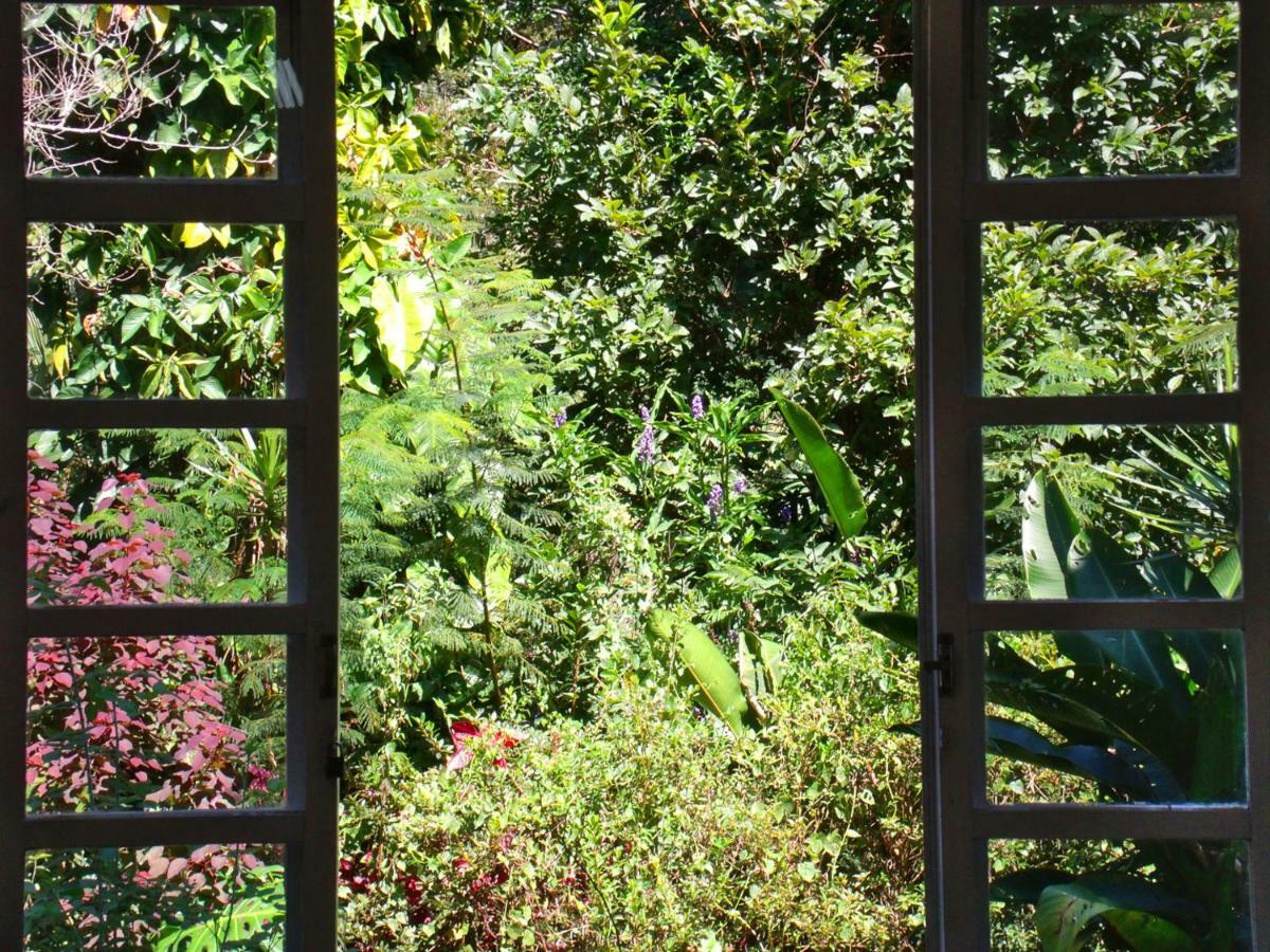Hotel Curitiba Campo Comprido エクステリア 写真