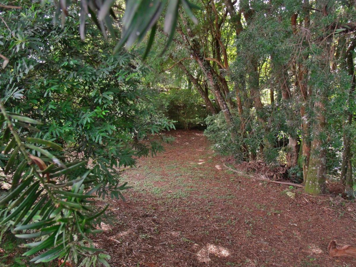 Hotel Curitiba Campo Comprido エクステリア 写真