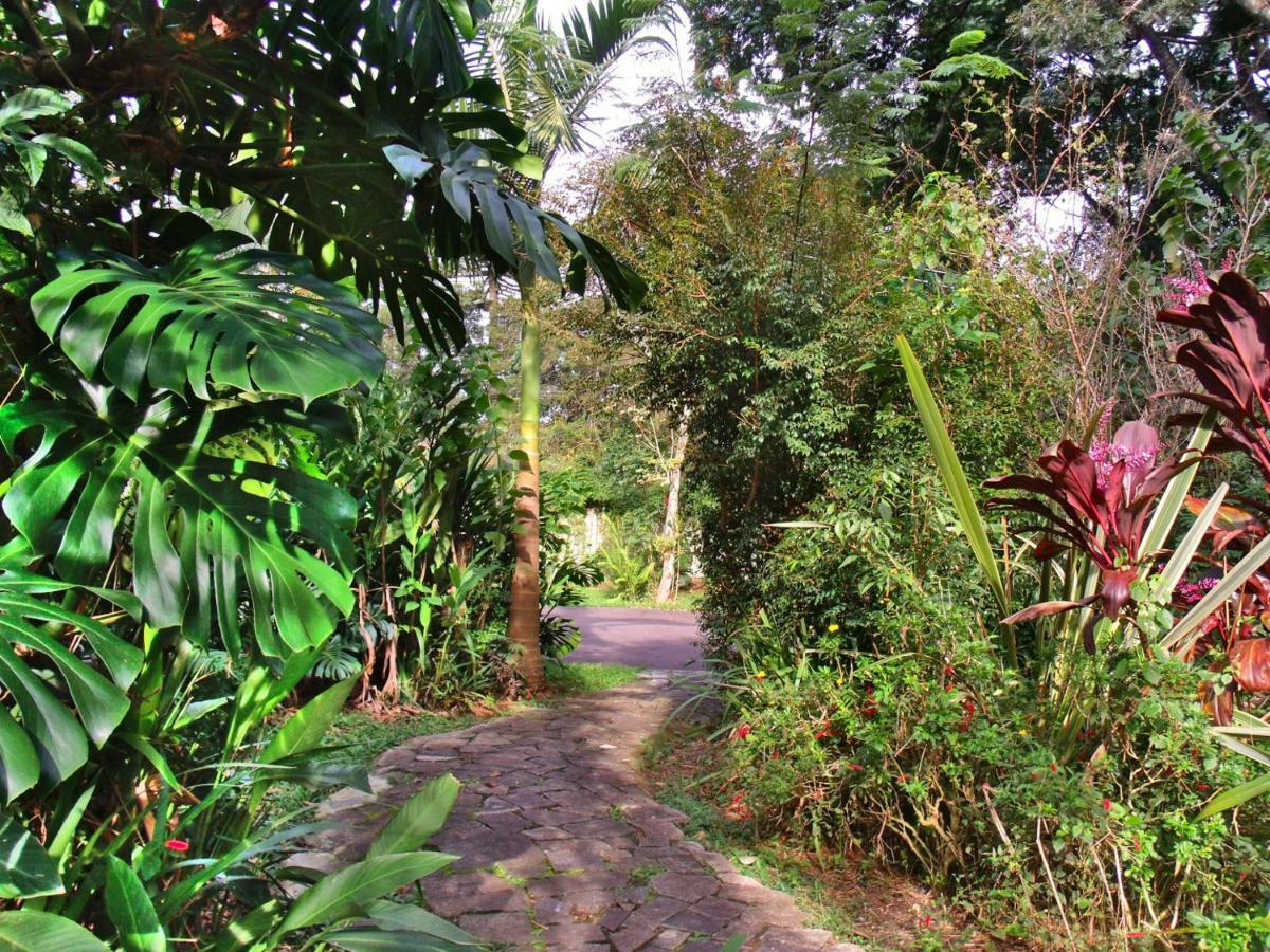 Hotel Curitiba Campo Comprido エクステリア 写真